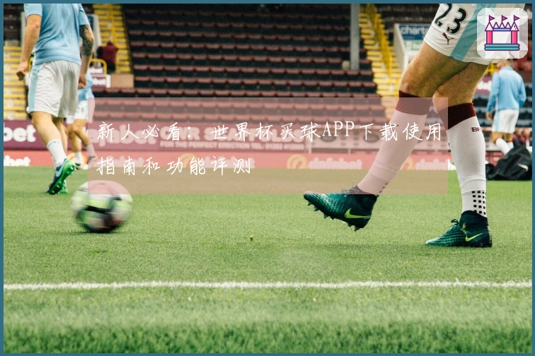 新人必看：世界杯买球APP下载使用指南和功能评测