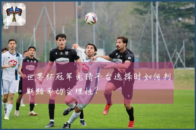 世界杯冠军竞猜平台选择时如何判断赔率的合理性？