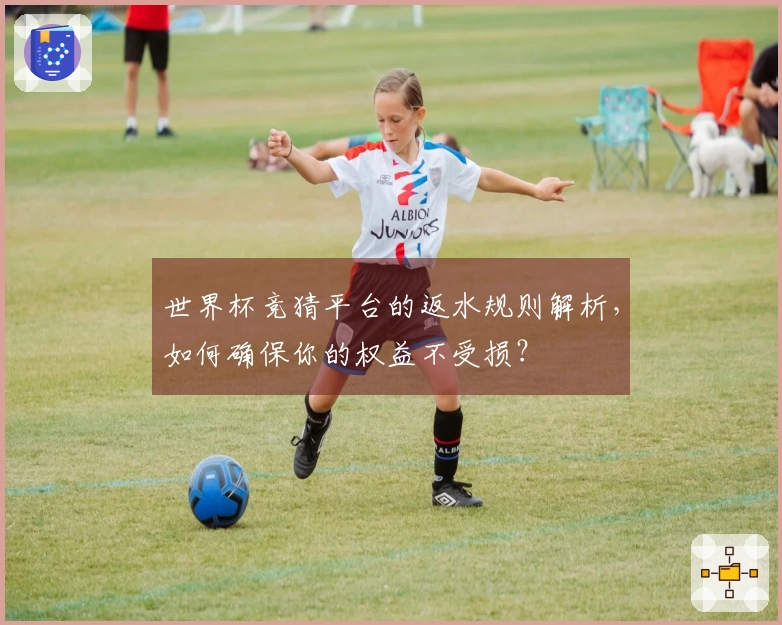 世界杯竞猜平台的返水规则解析，如何确保你的权益不受损？