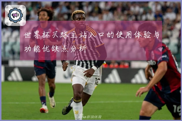 世界杯买球主站入口的使用体验与功能优缺点分析