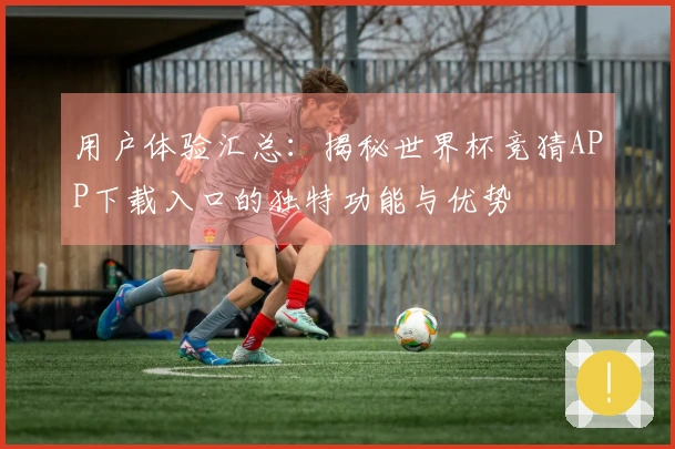用户体验汇总：揭秘世界杯竞猜APP下载入口的独特功能与优势