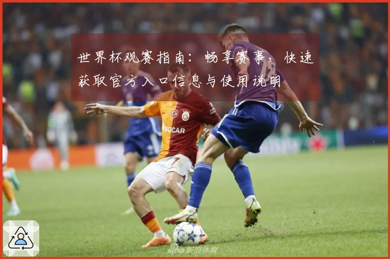 世界杯观赛指南：畅享赛事，快速获取官方入口信息与使用说明