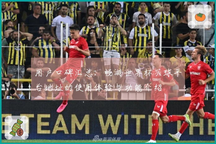 用户口碑汇总：畅游世界杯买球平台地址的使用体验与功能介绍