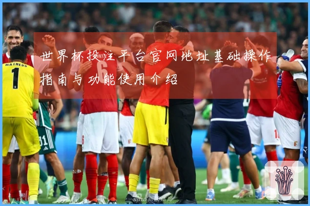 世界杯投注平台官网地址基础操作指南与功能使用介绍