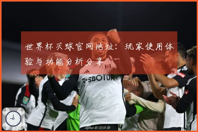 世界杯买球官网地址：玩家使用体验与功能分析分享