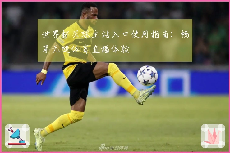 世界杯买球主站入口使用指南：畅享无缝体育直播体验