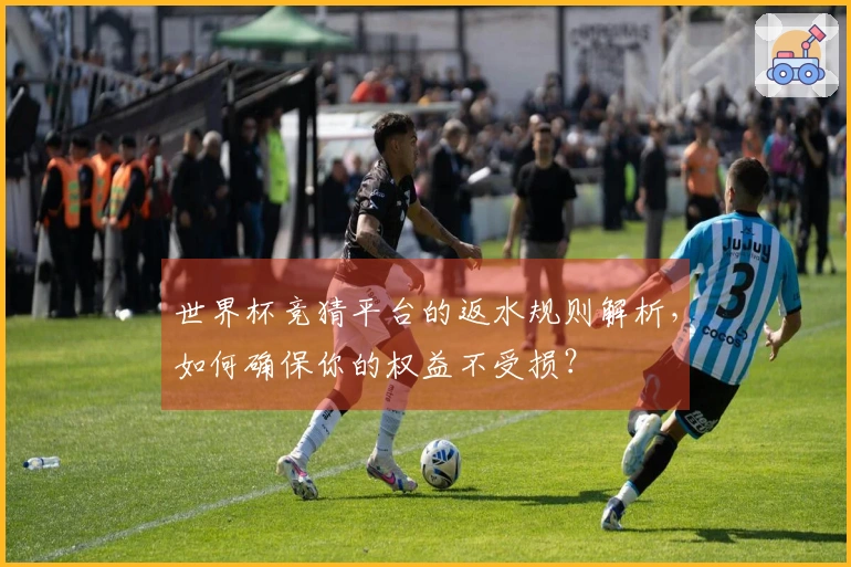 世界杯竞猜平台的返水规则解析，如何确保你的权益不受损？