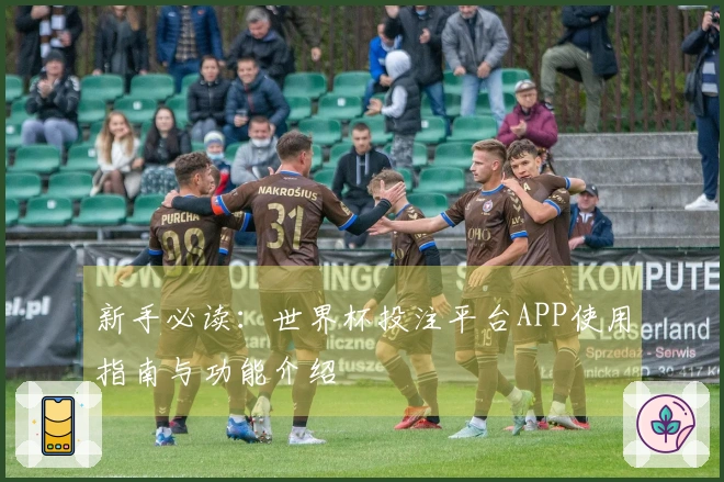 新手必读：世界杯投注平台APP使用指南与功能介绍