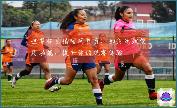 世界杯竞猜官网首页：如何高效使用功能，提升你的观赛体验