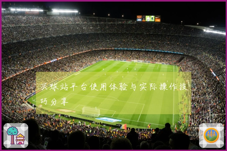 买球站平台使用体验与实际操作技巧分享