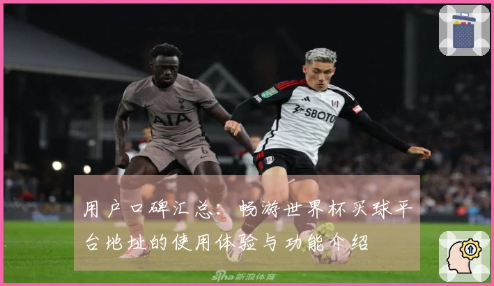 用户口碑汇总：畅游世界杯买球平台地址的使用体验与功能介绍