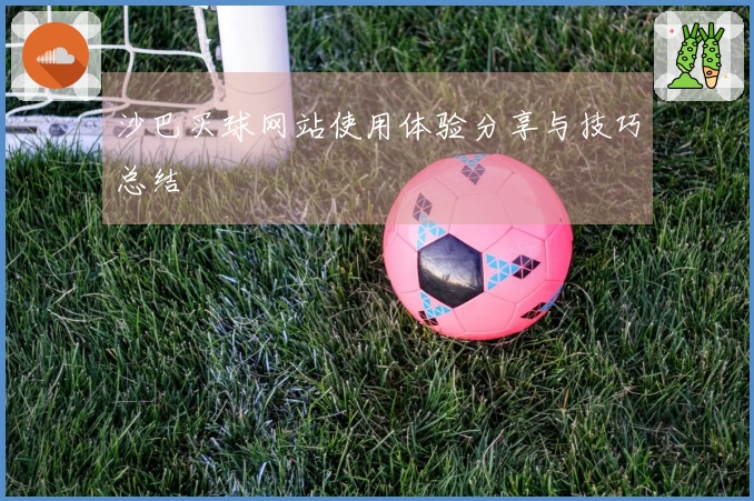 沙巴买球网站使用体验分享与技巧总结
